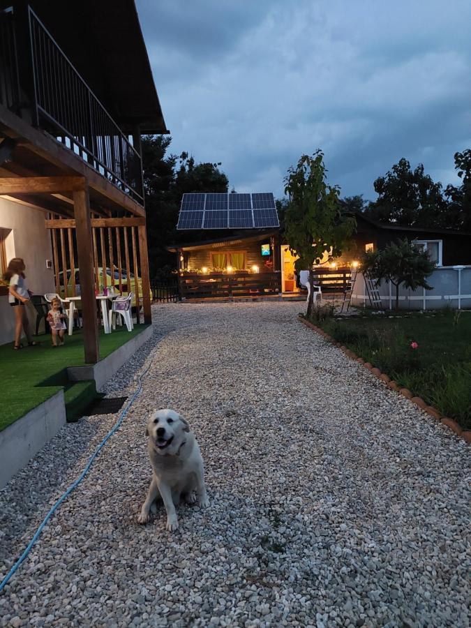 Cabana Oprisor Ocna Sibiului Exterior foto
