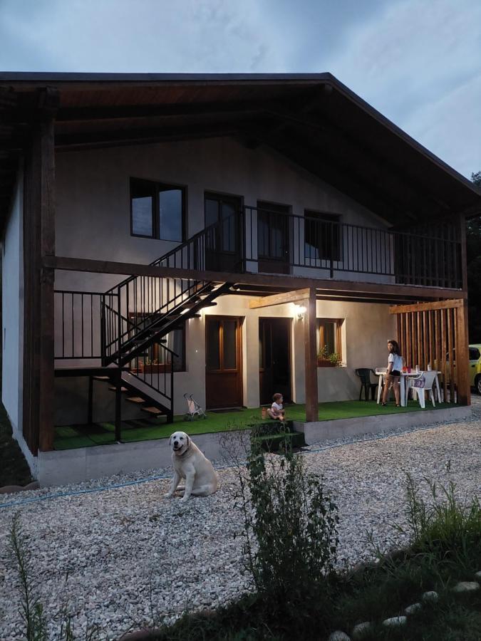 Cabana Oprisor Ocna Sibiului Exterior foto